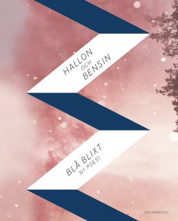 Hallon och bensin