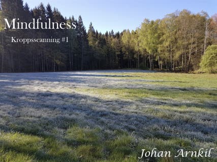Mindfulness Kroppscanning