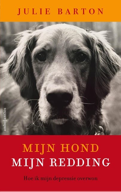 Mijn hond mijn redding: hoe ik mijn depressie overwon – omslag van het luisterboek van Julie Barton