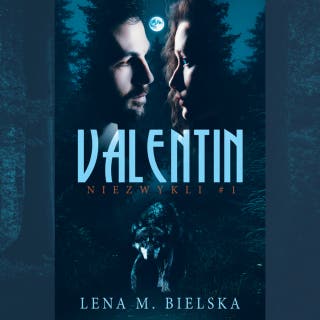 Valentin – okładka audiobooka, autor Lena M. Bielska