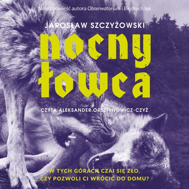 Nocny łowca