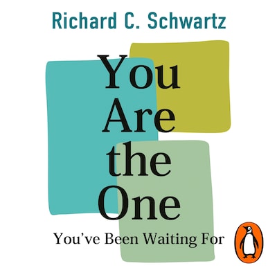 You Are the One You’ve Been Waiting For – omslag til lydbogen af Richard Schwartz