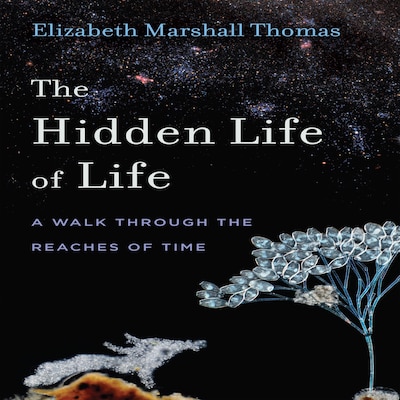 The Hidden Life of Life: A Walk through the Reaches of Time
