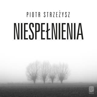 Niespełnienia – okładka audiobooka, autor Piotr Strzeżysz
