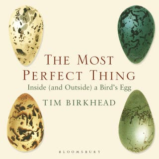 The Most Perfect Thing: Inside (and Outside) a Bird’s Egg