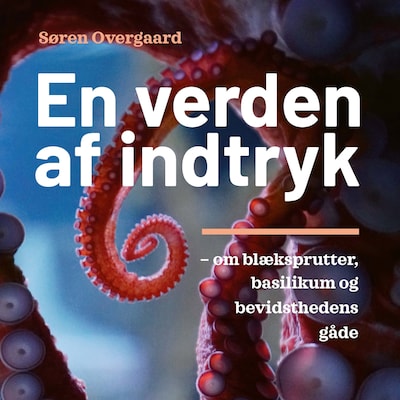 En verden af indtryk – omslag til lydbogen af Søren Overgaard