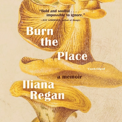 Burn the Place – omslag til lydbogen af Iliana Regan