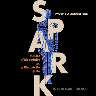 Spark – omslag til lydbogen af Timothy J. Jorgensen