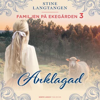 Anklagad – omslag till ljudboken av Stine Langtangen
