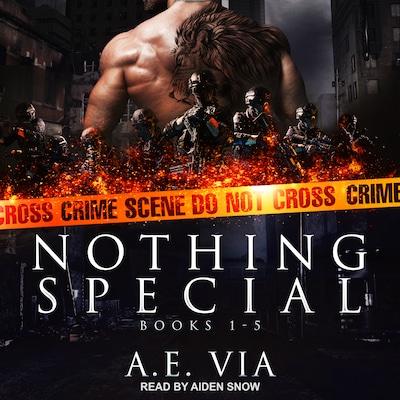 Nothing Special Series Box Set – omslag til lydbogen af A.E. Via