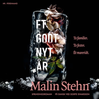 Et godt nyt år – omslag til lydbogen af Malin Stehn