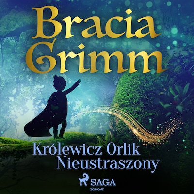 Królewicz Orlik Nieustraszony – okładka audiobooka, autor Bracia Grimm