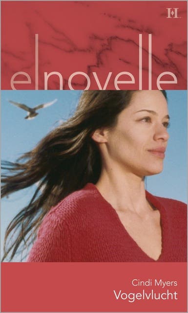 Vogelvlucht