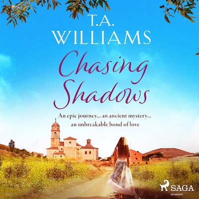 Chasing Shadows