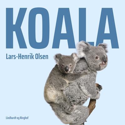 Koala – omslag til lydbogen af Lars-Henrik Olsen