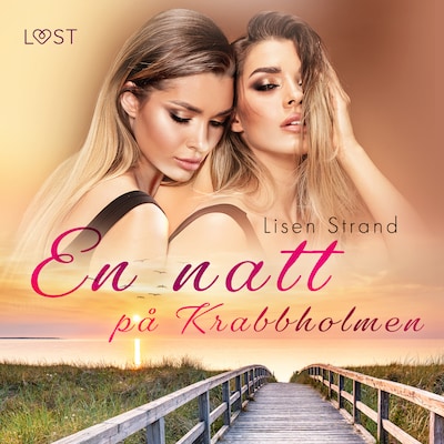 En natt på Krabbholmen - erotisk feelgood
