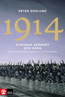 Stridens skönhet och sorg 1914 : första världskrigets första år i 106 korta kapitel