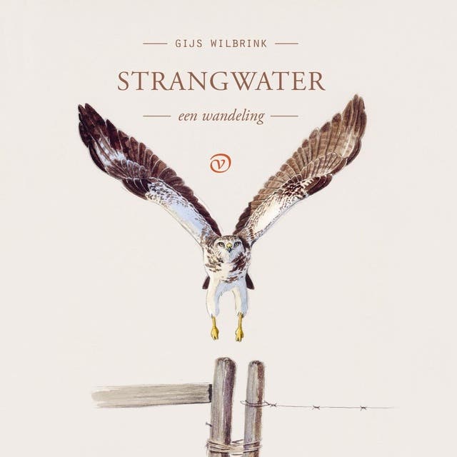 Strangwater: Een wandeling – omslag van het luisterboek van Gijs Wilbrink