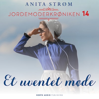Et uventet møde – omslag til lydbogen af Anita Strøm