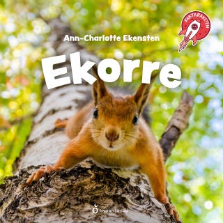 Faktaraketen - Ekorre