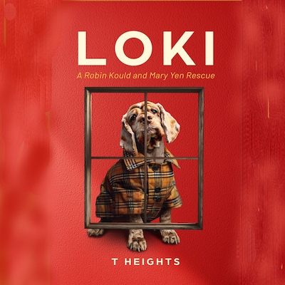 Loki – omslag til lydbogen af T Heights