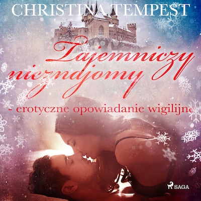 Tajemniczy nieznajomy - erotyczne opowiadanie wigilijne – okładka audiobooka, autor Christina Tempest
