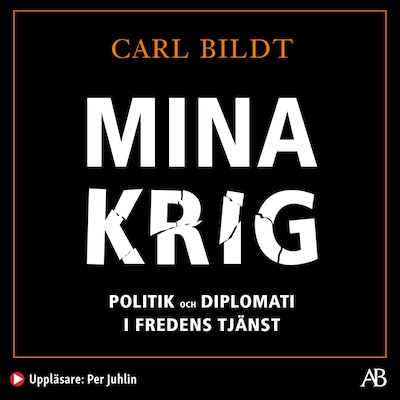 Mina krig : politik och diplomati i fredens tjänst