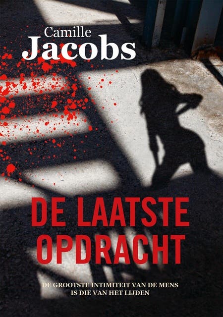 De laatste opdracht