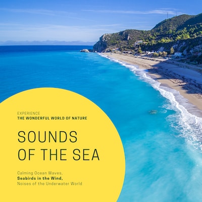 Sounds Of The Sea: Calming Ocean Waves, Seabirds in the Wind, Noises of the Underwater World – omslag til lydbogen af Yella A. Deeken