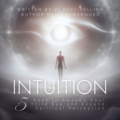 Intuition – omslag til lydbogen af Dan Desmarques