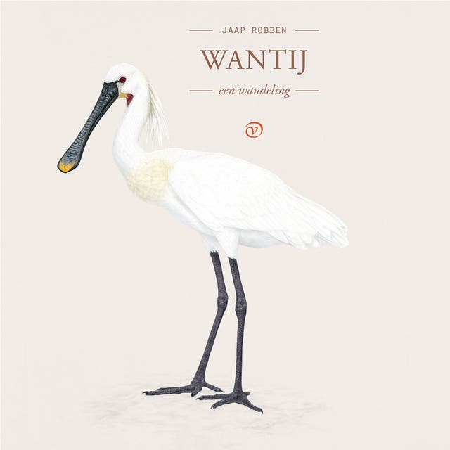 Wantij: Een wandeling