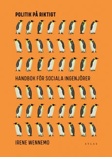 Politik på riktigt : Handbok för sociala ingenjörer