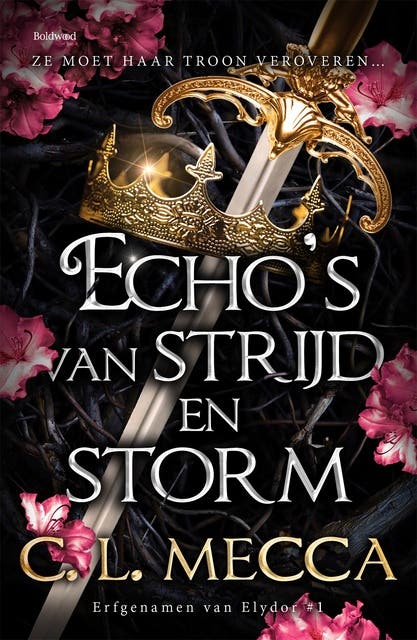Echo's van strijd en storm – omslag van het luisterboek van C.L. Mecca