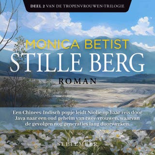 Stille berg – omslag van het luisterboek van Monica Betist