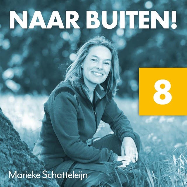 Naar buiten! Duisternis op Terschelling 8 – omslag van het luisterboek van Marieke Schatteleijn