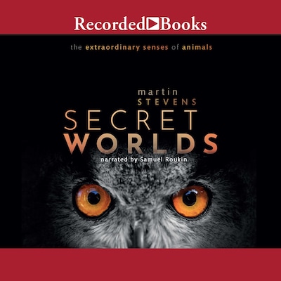 Secret Worlds – omslag til lydbogen af Martin Stevens