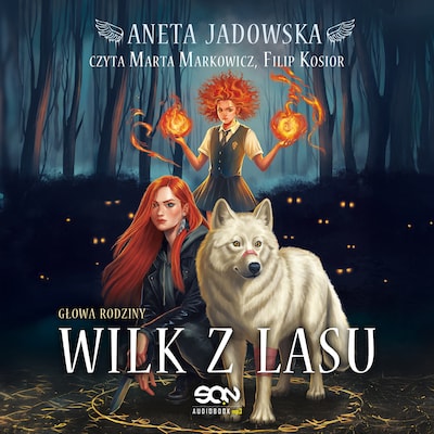 Wilk z lasu – okładka audiobooka, autor Aneta Jadowska
