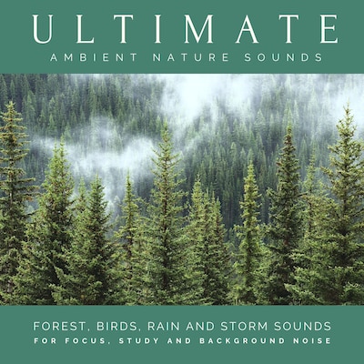 Ultimate Ambient Nature Sounds (XXL Bundle)