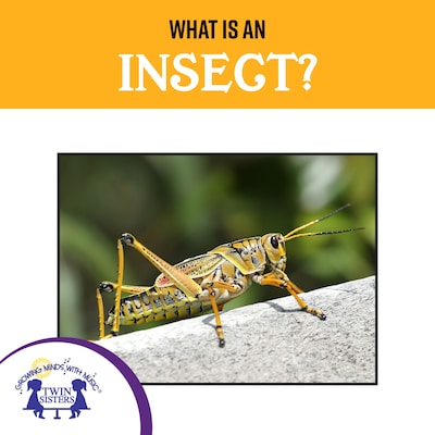 What Is An Insect? – omslag til lydbogen af Kim Mitzo Thompson, Karen Mitzo Hilderbrand