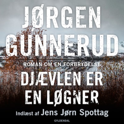 Djævlen er en løgner – omslag til lydbogen af Jørgen Gunnerud