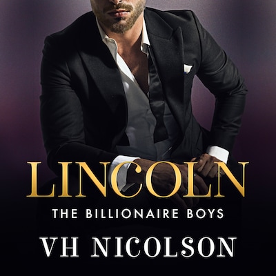 Lincoln - A steamy, strangers-to-lovers, secret billionaire, workplace romance from VH Nicolson for 2025! (Unabridged)
