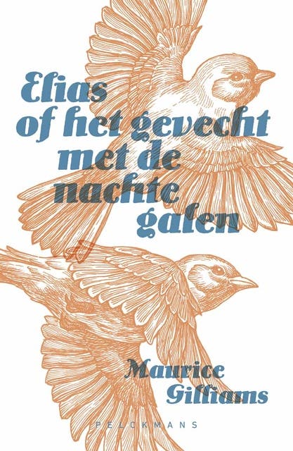 Elias of het gevecht met de nachtegalen – omslag van het luisterboek van Maurice Gilliams