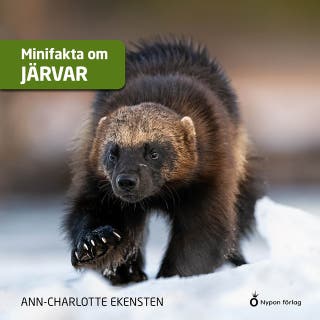 Minifakta om järvar