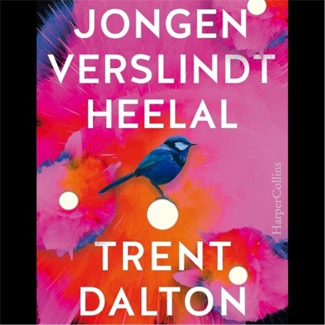Jongen verslindt heelal: Hartverwarmende roman over een jongen die opgroeit in een criminele omgeving