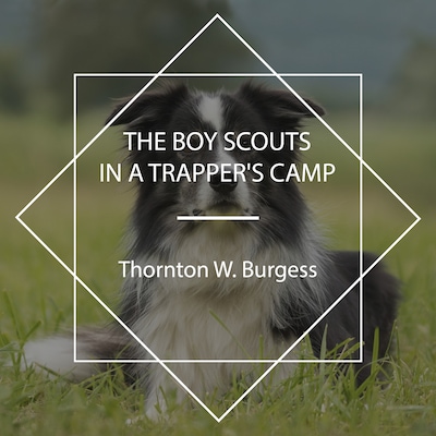 The Boy Scouts in a Trapper's Camp