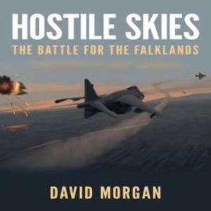 Hostile Skies – okładka audiobooka, autor David Morgan
