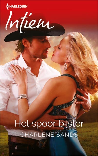 Het spoor bijster – omslag van het luisterboek van Charlene Sands