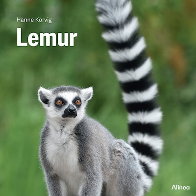 Lemur, Grøn Fagklub – omslag til lydbogen af Hanne Korvig