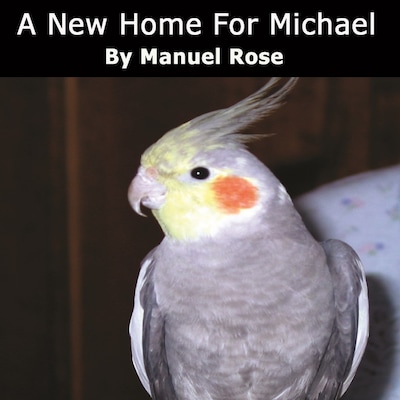 A New Home For Michael – omslag til lydbogen af Manuel Rose