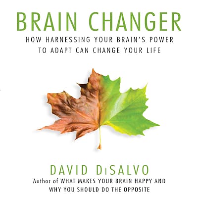 Brain Changer – omslag til lydbogen af David DiSalvo